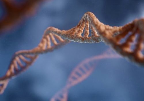 DNA image