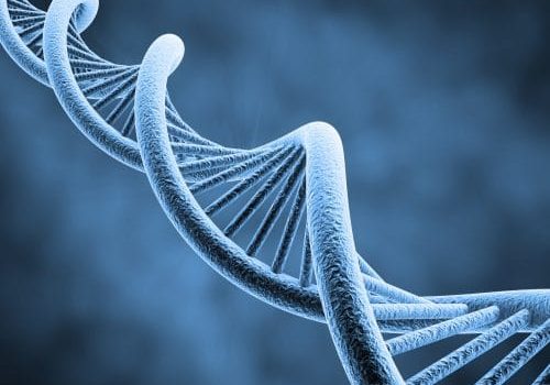 DNA