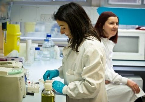 researchers in the lab