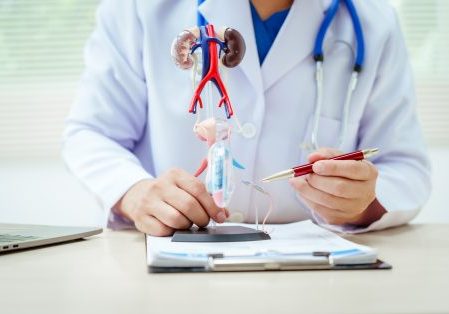 A male doctor sits at a desk in a hospital, discussing male urinary tract models and conditions like enlarged prostate, prostatitis, cystitis, urinary tract infections.Early diagnosis aids effective