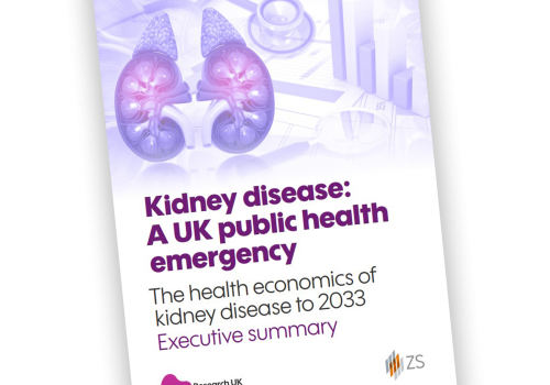 The front cover of the Health Economics report document