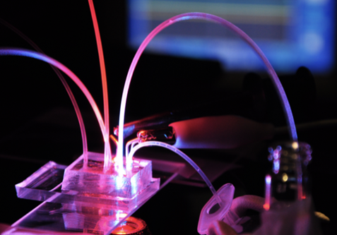 A dark background with what looks like a small clear box which is lit up. There are brightly coloured strands coming out of the box.